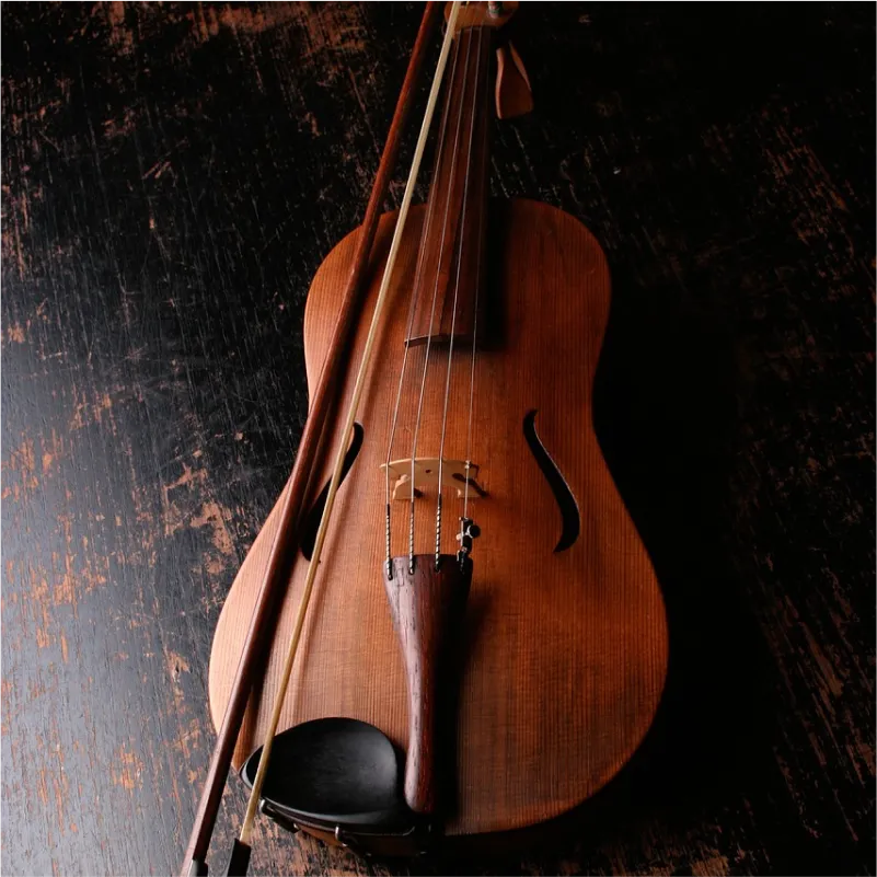 violin-924349_1280-foza-musica-natura-masterclass-musicale-estiva
